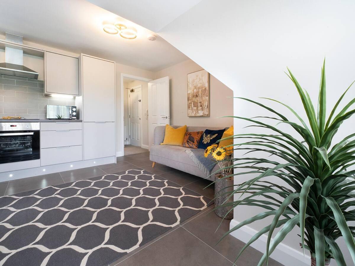Apartment Stunning Free Parking Great Location